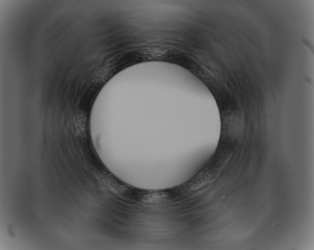 X0000091700274200709210928