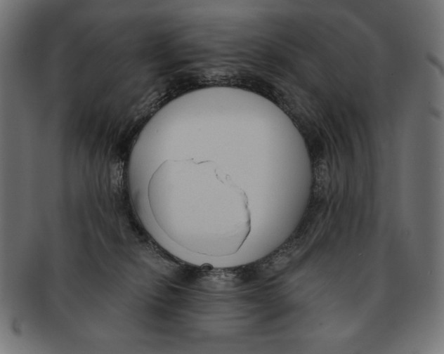 X0000091700278200709210928