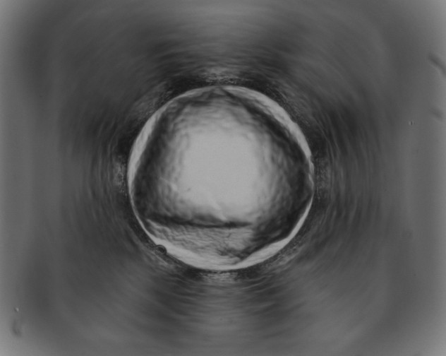 X0000091700281200709210928