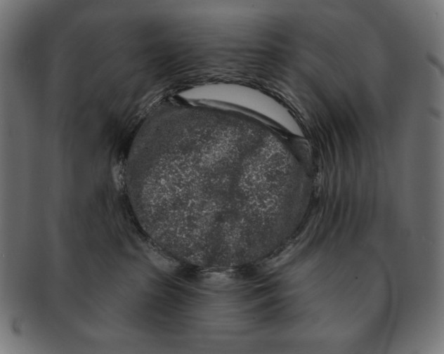 X0000091700285200709210928