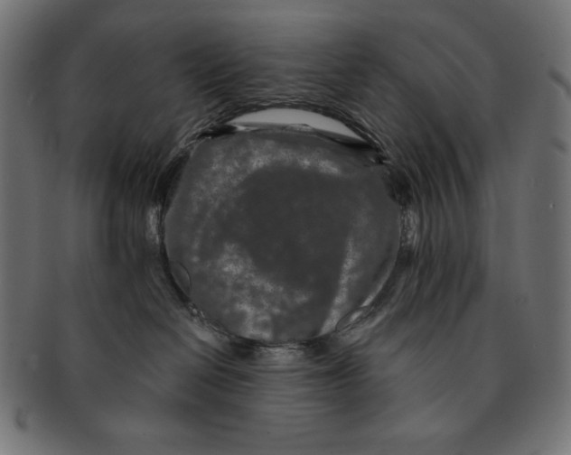 X0000091700286200709210928