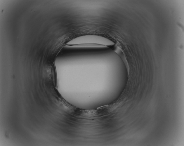 X0000091700288200709210928