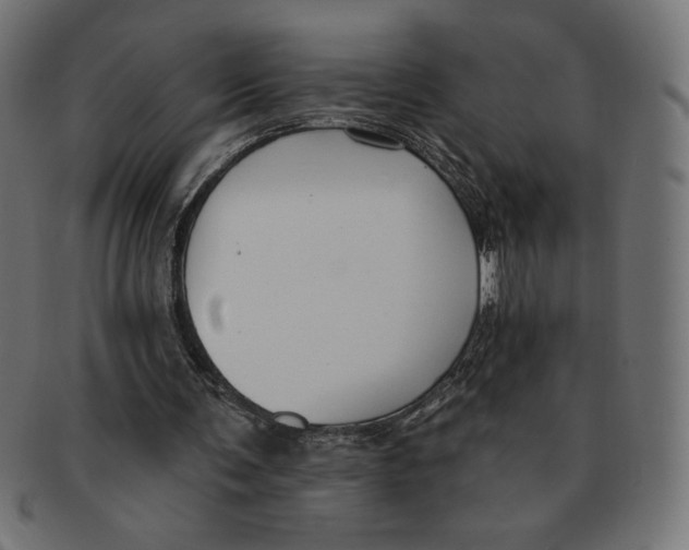 X0000091700291200709210928