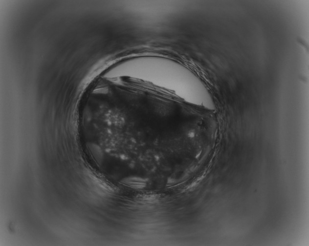 X0000091700295200709210927