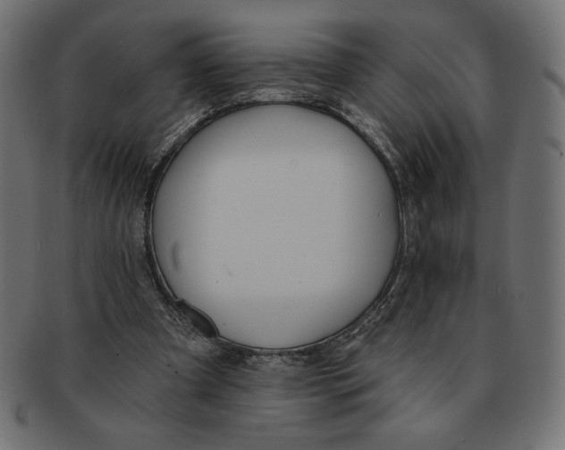 X0000091700297200709210927