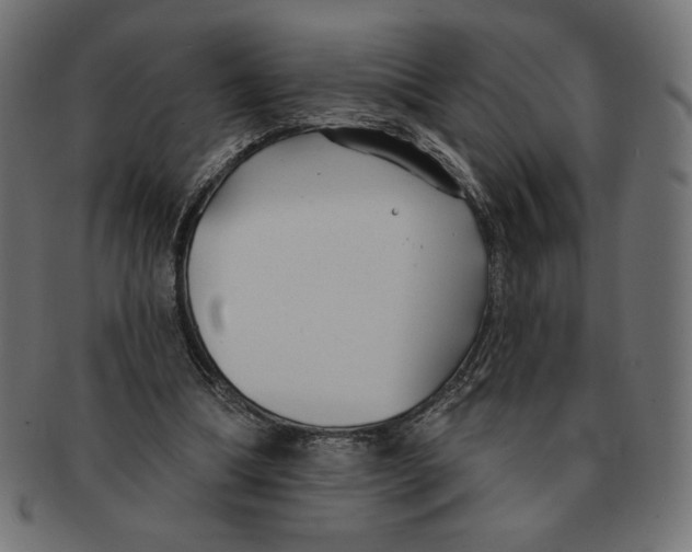 X0000091700298200709210927