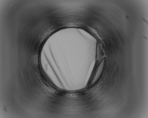 X0000091700299200709210927