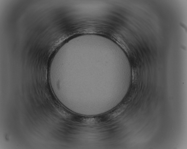 X0000091700301200709210927