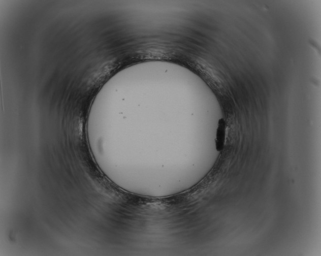 X0000091700310200709210927