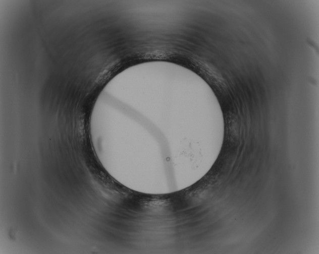 X0000091700312200709210927