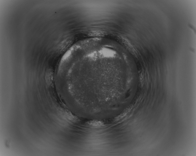 X0000091700322200709210927