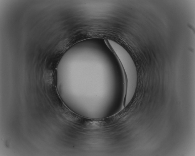 X0000091700323200709210927