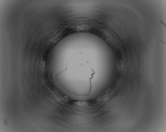 X0000091700327200709210927