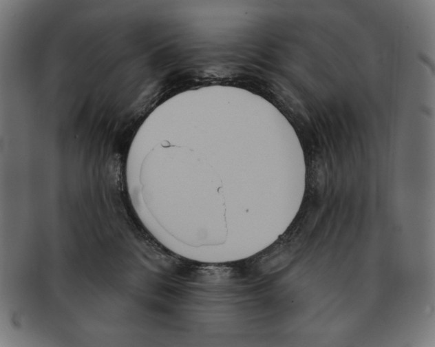 X0000091700328200709210927