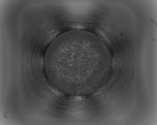 X0000091700330200709210927