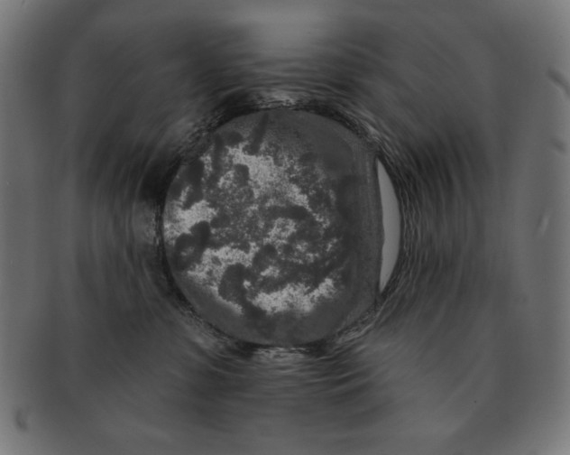 X0000091700331200709210927