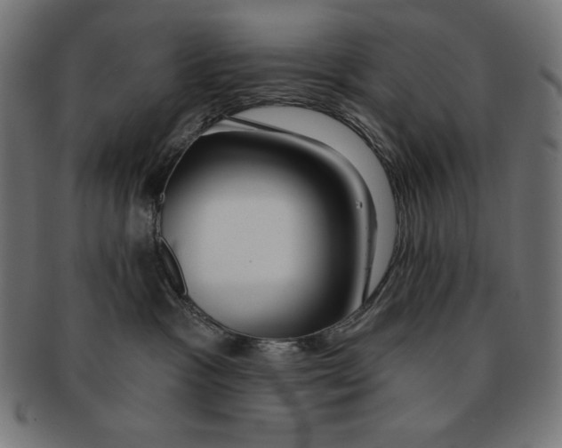 X0000091700333200709210927