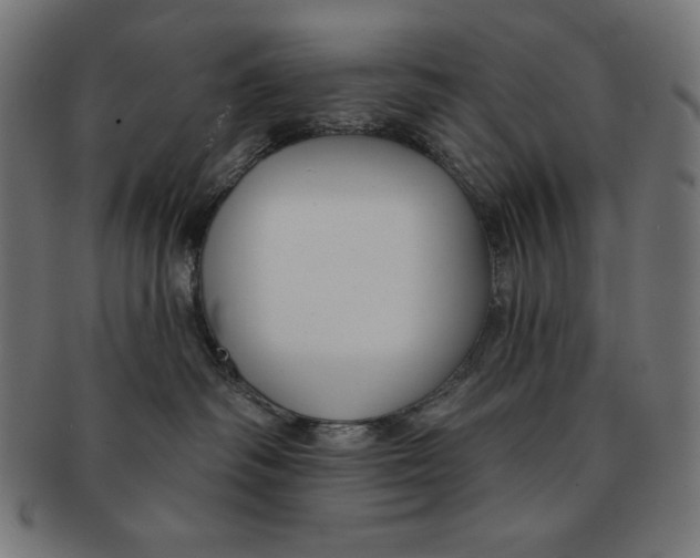 X0000091700334200709210927