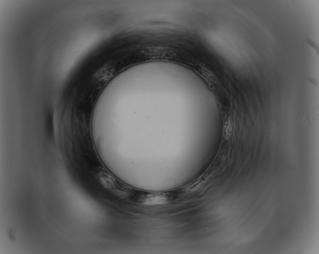 X0000091700335200709210927