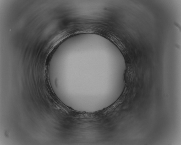 X0000091700338200709210926