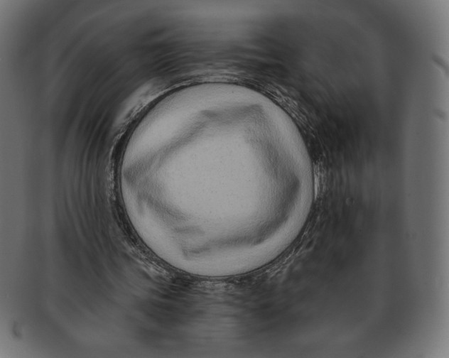 X0000091700339200709210926