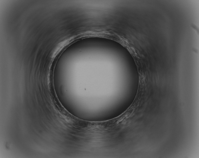 X0000091700340200709210926