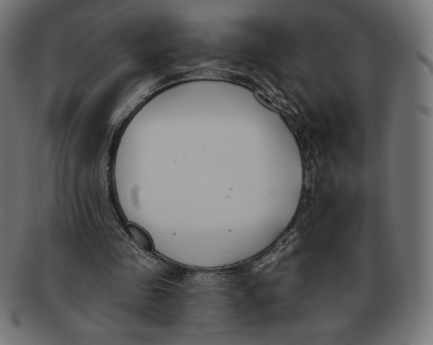 X0000091700341200709210926