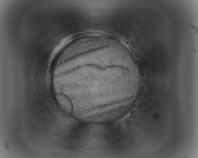 X0000091700343200709210926