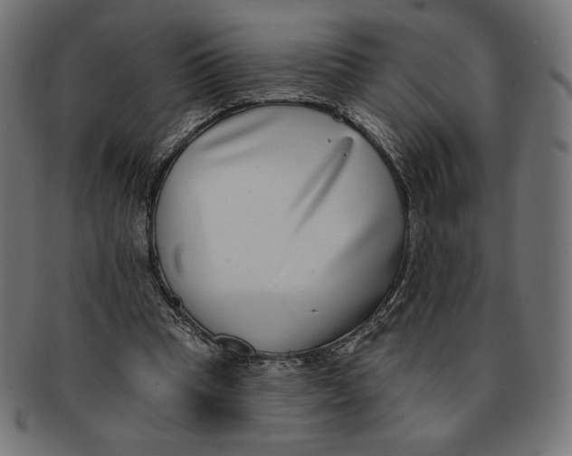 X0000091700345200709210927