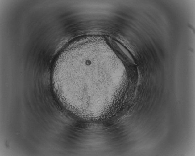 X0000091700347200709210927