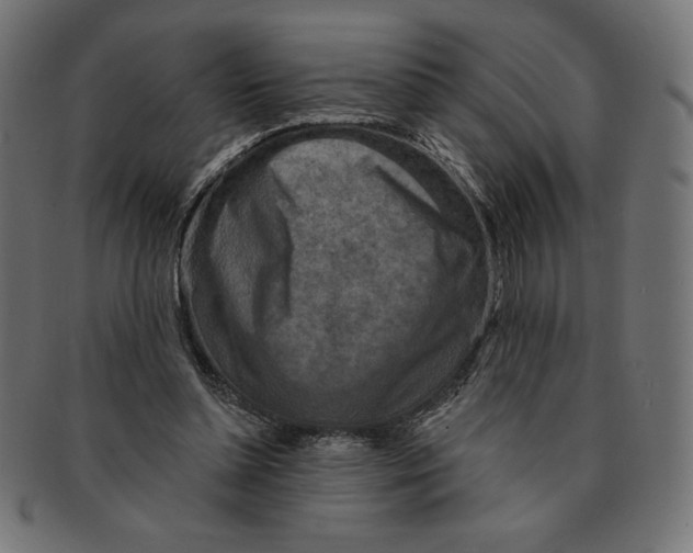 X0000091700348200709210927