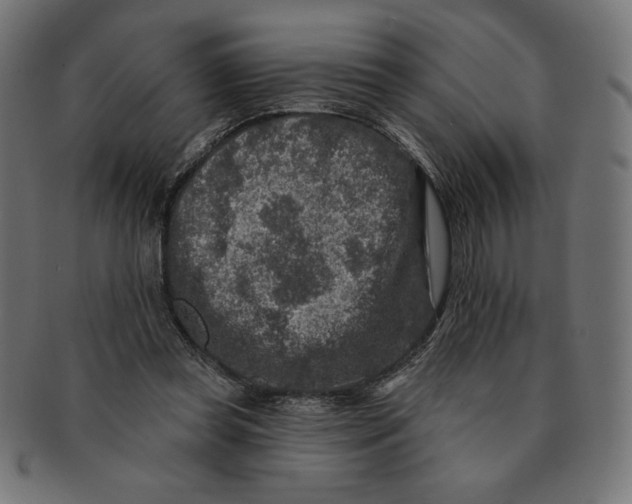 X0000091700349200709210927