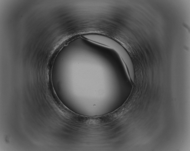 X0000091700350200709210927