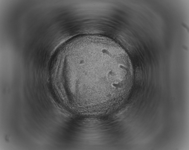 X0000091700351200709210927