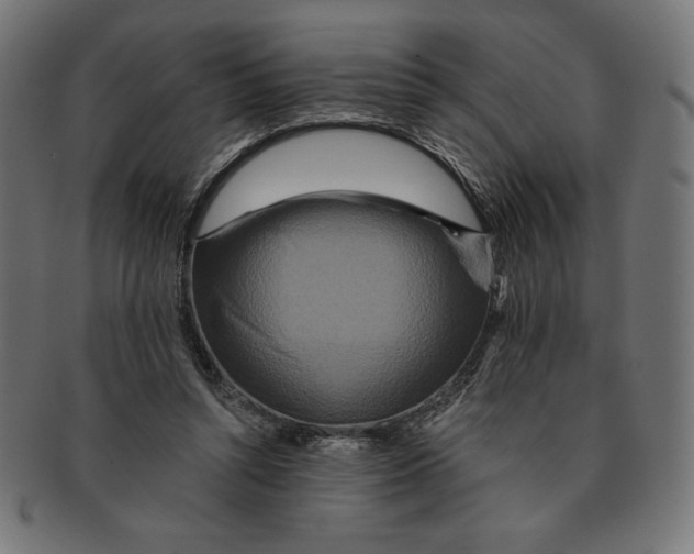 X0000091700352200709210927