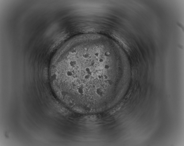 X0000091700353200709210927