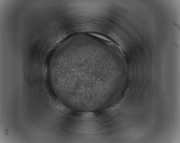 X0000091700355200709210927