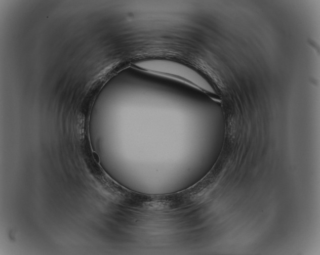 X0000091700356200709210927