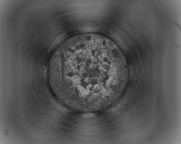 X0000091700357200709210927