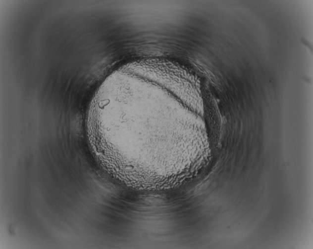 X0000091700359200709210927