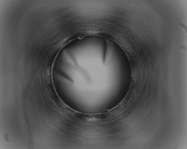 X0000091700360200709210927