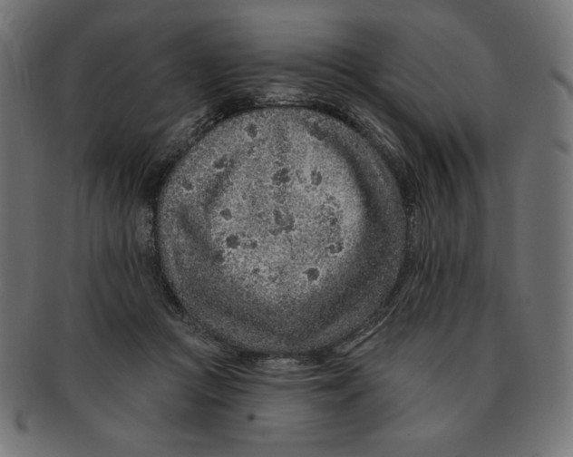 X0000091700361200709210927