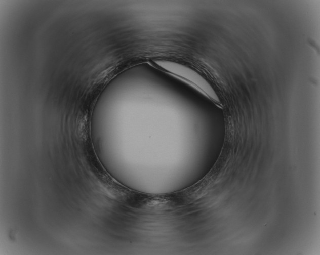 X0000091700364200709210927