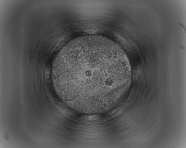 X0000091700365200709210927