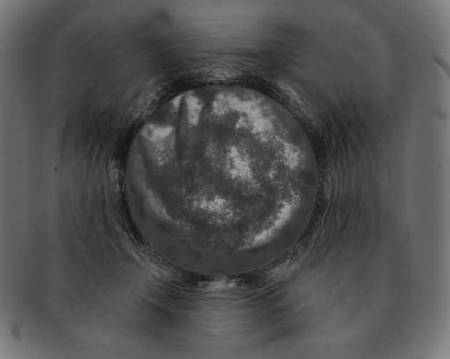 X0000091700366200709210927