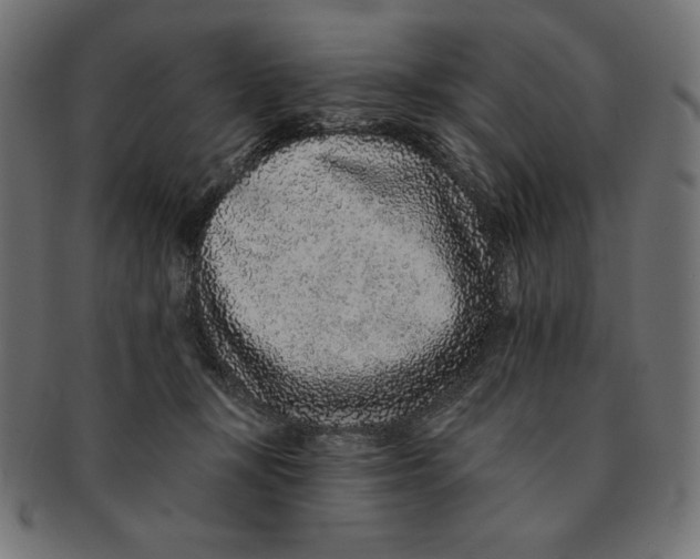 X0000091700367200709210927