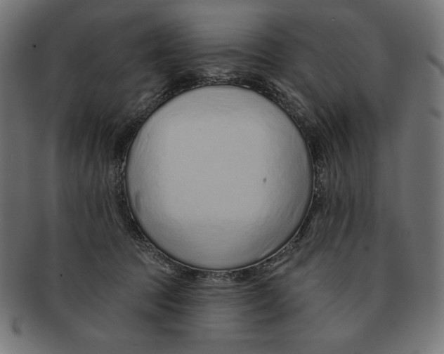 X0000091700369200709210927