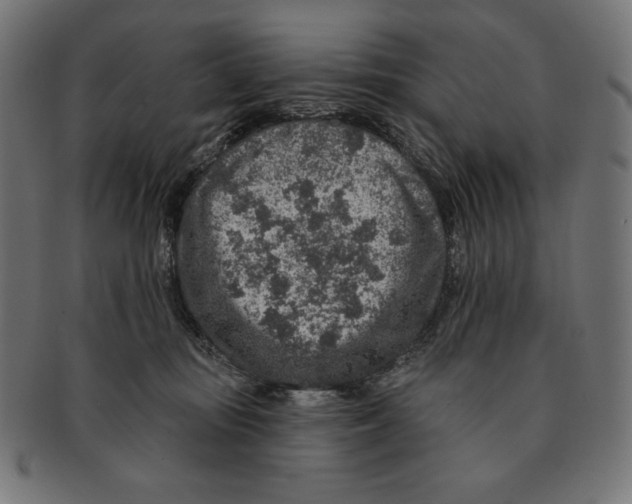 X0000091700371200709210927