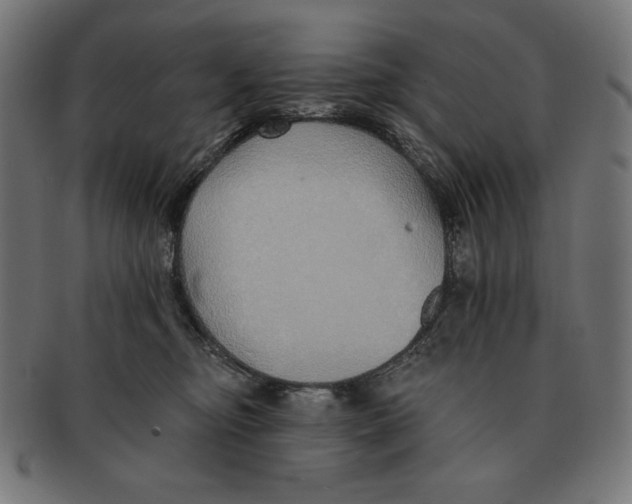 X0000091700374200709210927