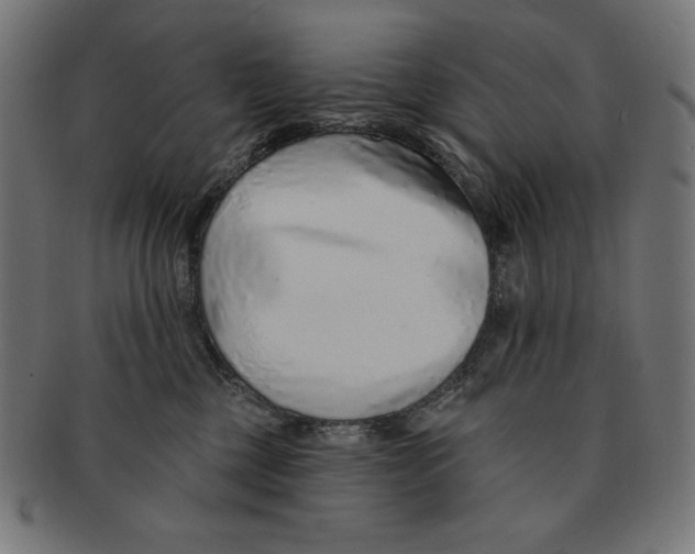 X0000091700377200709210927